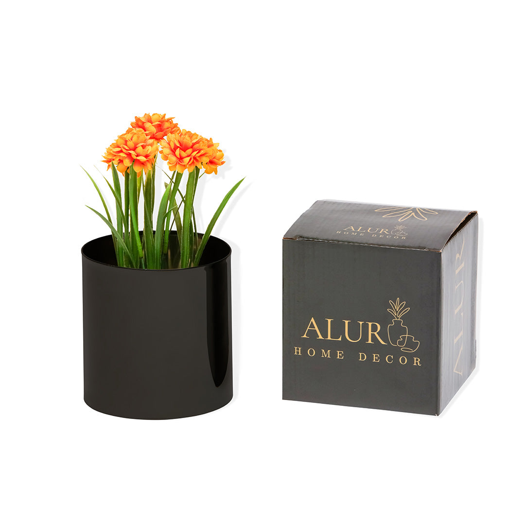 Metallic Black Pot Pack