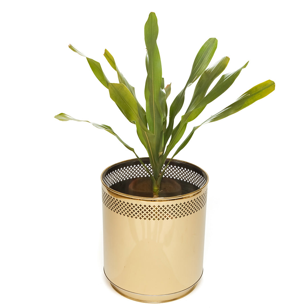 Sunset Gold Stainless Steel Planter Small